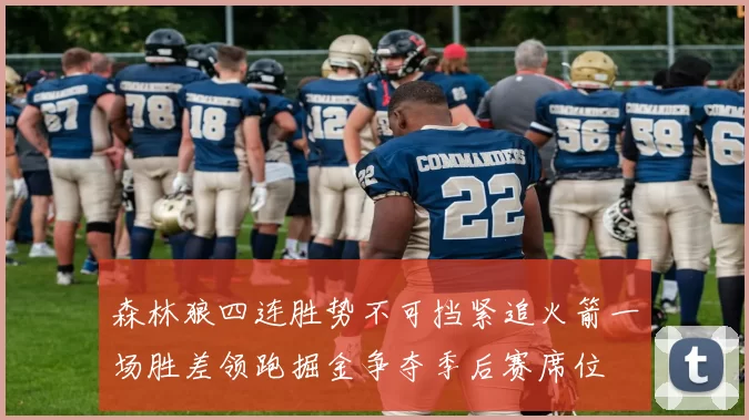 森林狼四连胜势不可挡紧追火箭一场胜差领跑掘金争夺季后赛席位